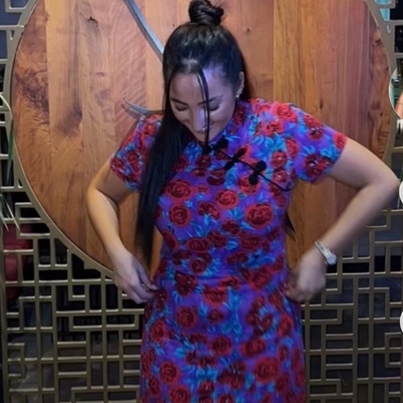 NWT Zara Frog Button Dress - Picture 4 of 11